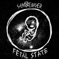 Fetal State
