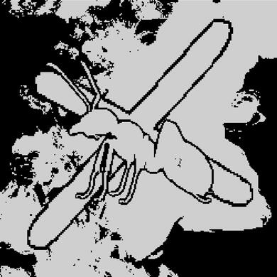 Garden Ants - Perfect Pitch, But No $wag (HonestlySMH &amp; Scavenger Remix)